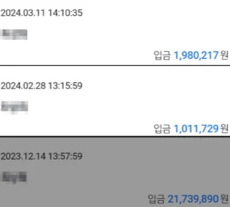 입금 내역