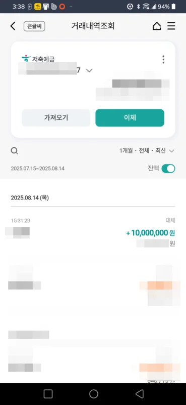 입금내역
