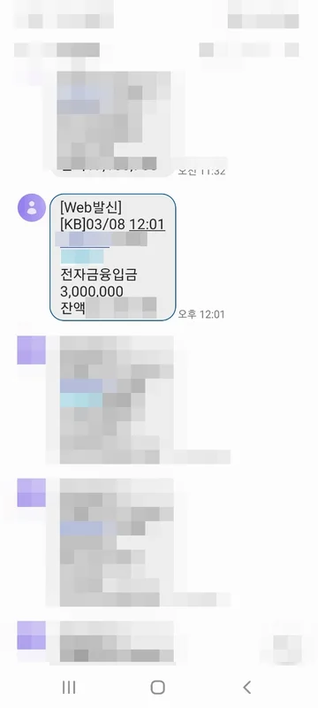3월 입금